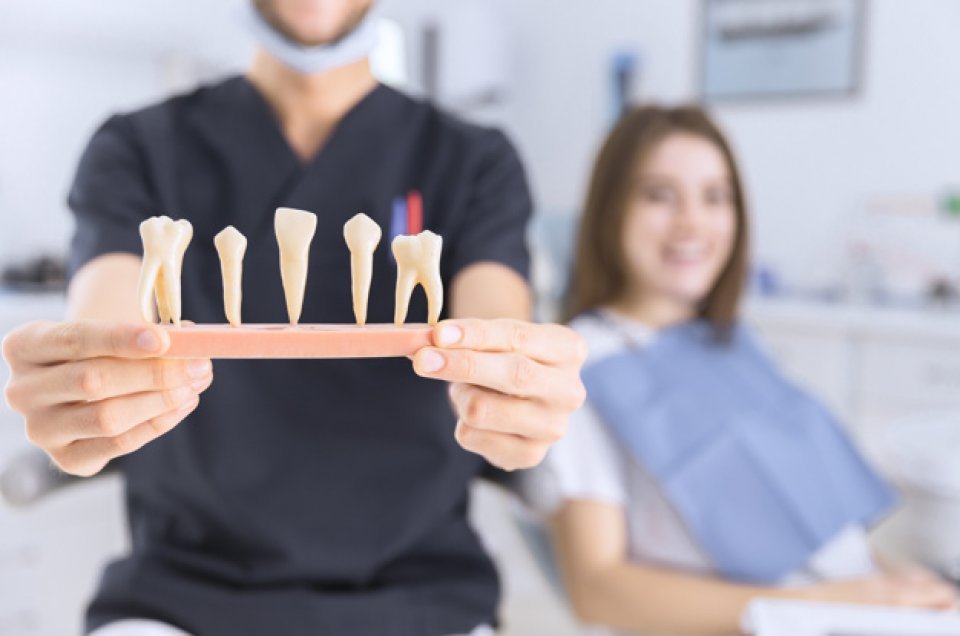 Endodoncja – asysta od A do Z
