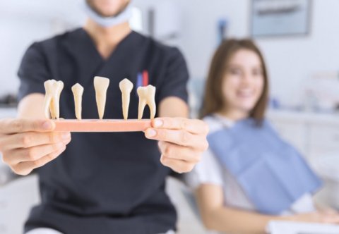 Endodoncja – asysta od A do Z